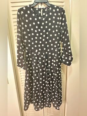Zara Black and White Polka Dot Long Sleeve Dress